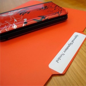 Carpeta Nintendo