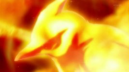 XY36