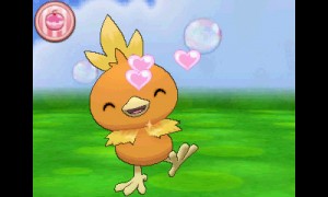 Torchic