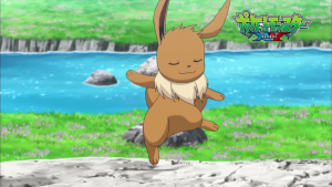 XY088