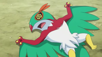 55