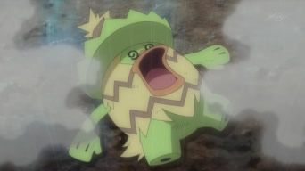 31