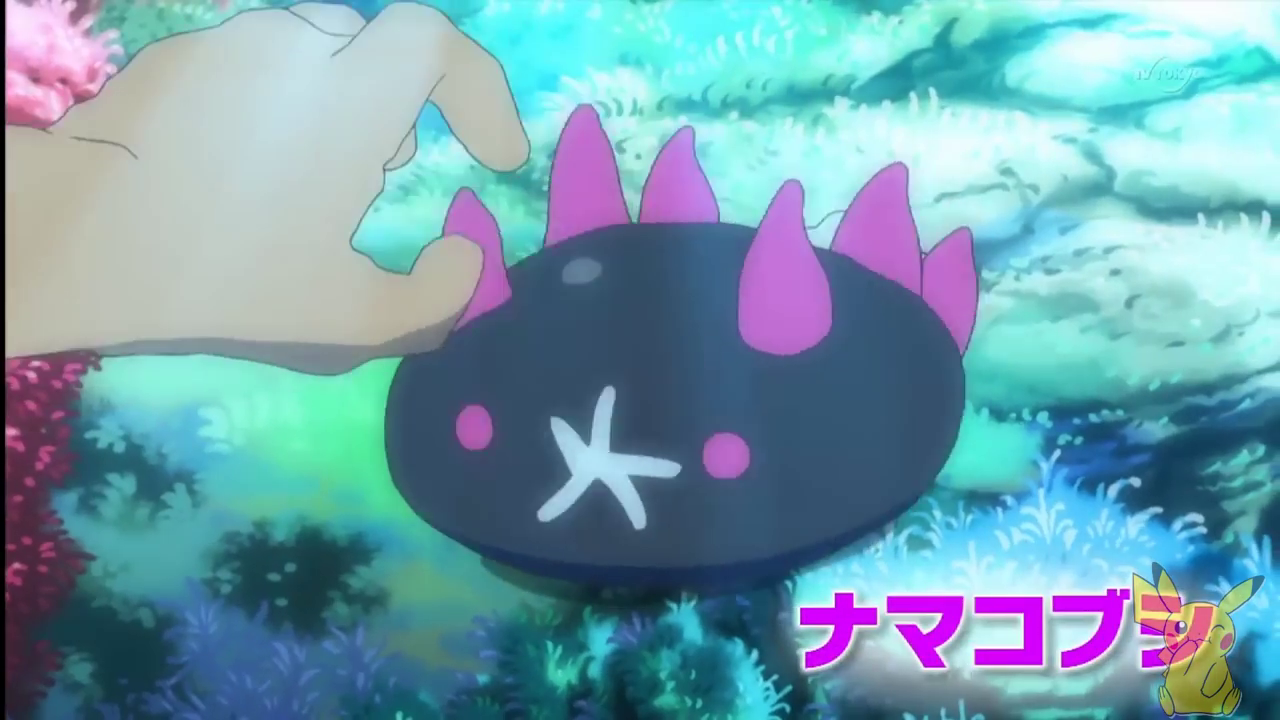 pyukumuku
