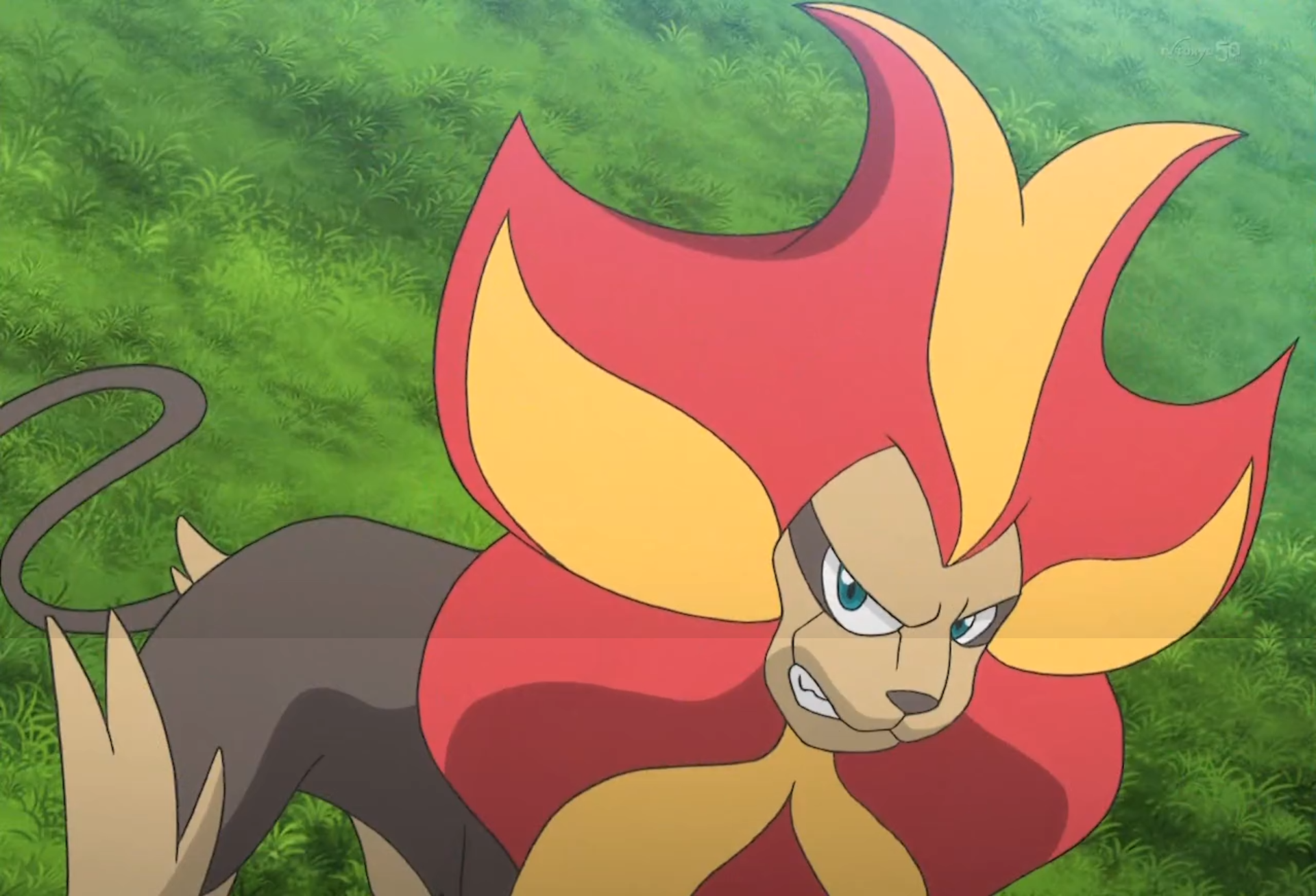 [Distribución competitiva #01] ¡El Pyroar de Lysson!