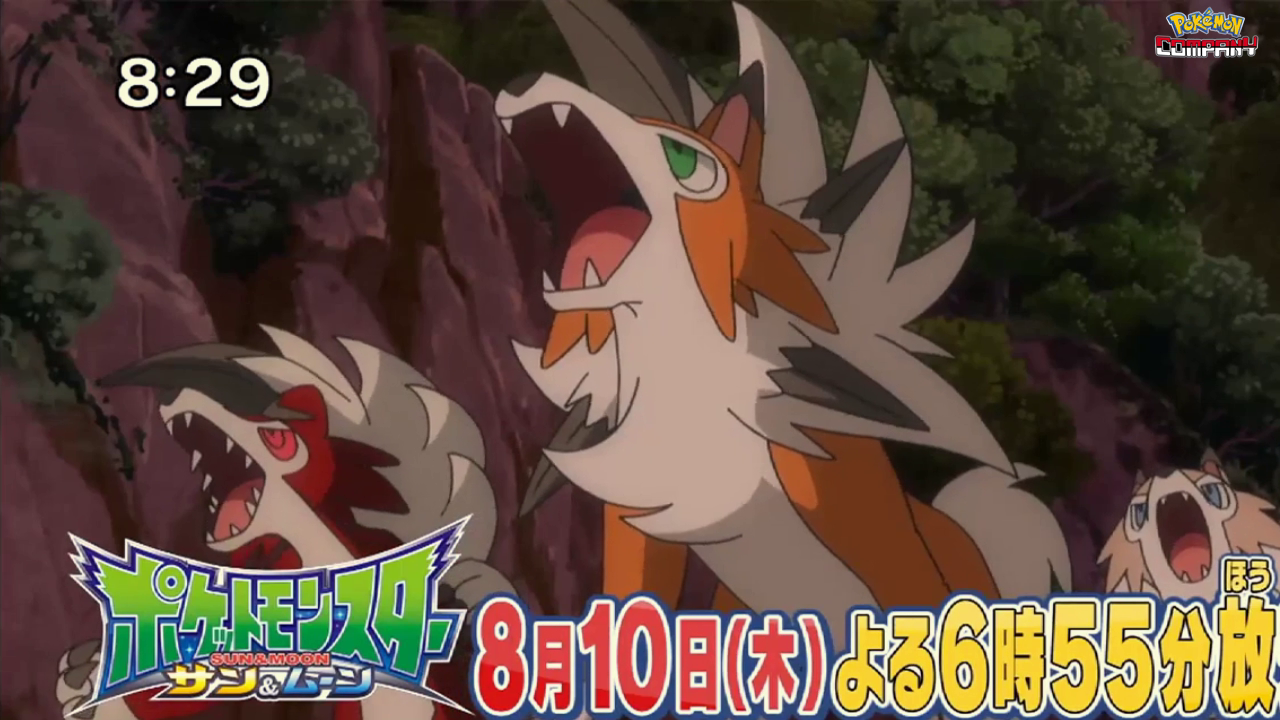Previo Pokénchi (06/08/2017)