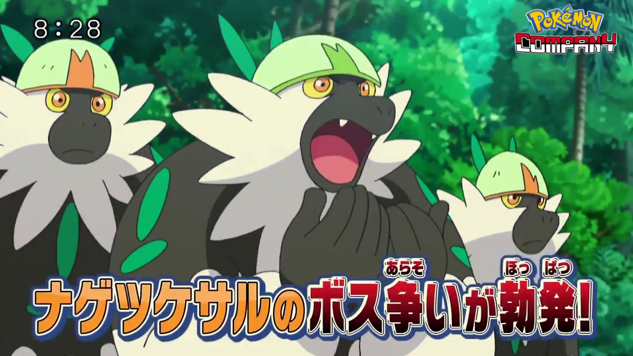 Previo Pokénchi (25/02/2018)