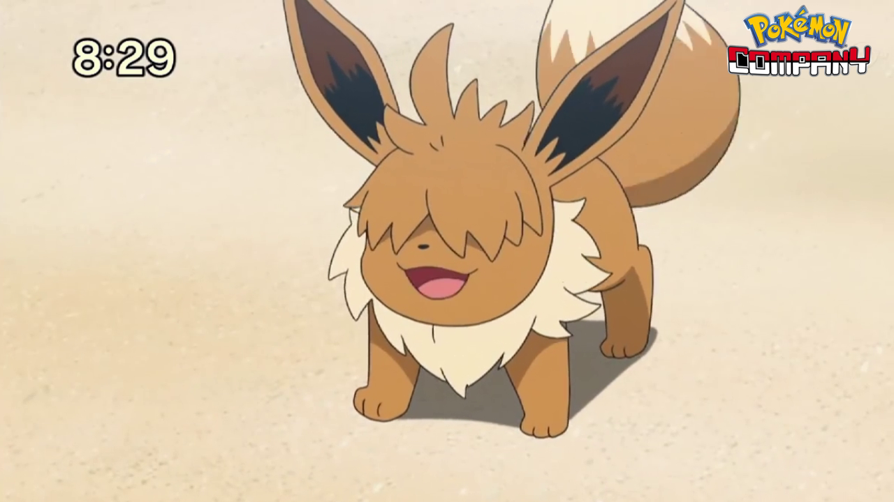 Previo Pokénchi (02/12/2018)