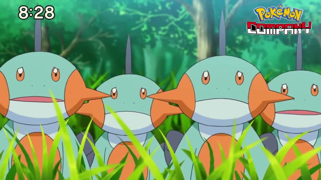 Previo Pokénchi (11/10/2020)