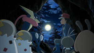 TV Pokémon: Ash explora selvas y bosques Greninja