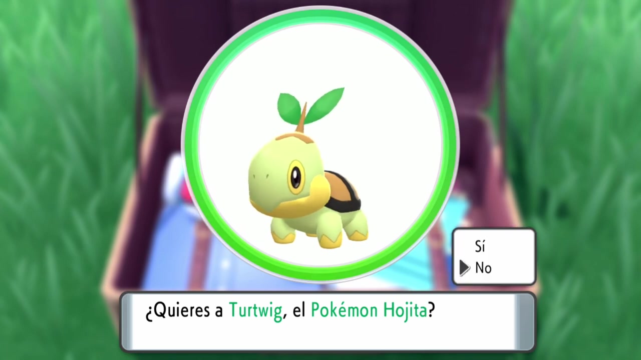 Pueblo Hojaverde (1) Turtwig