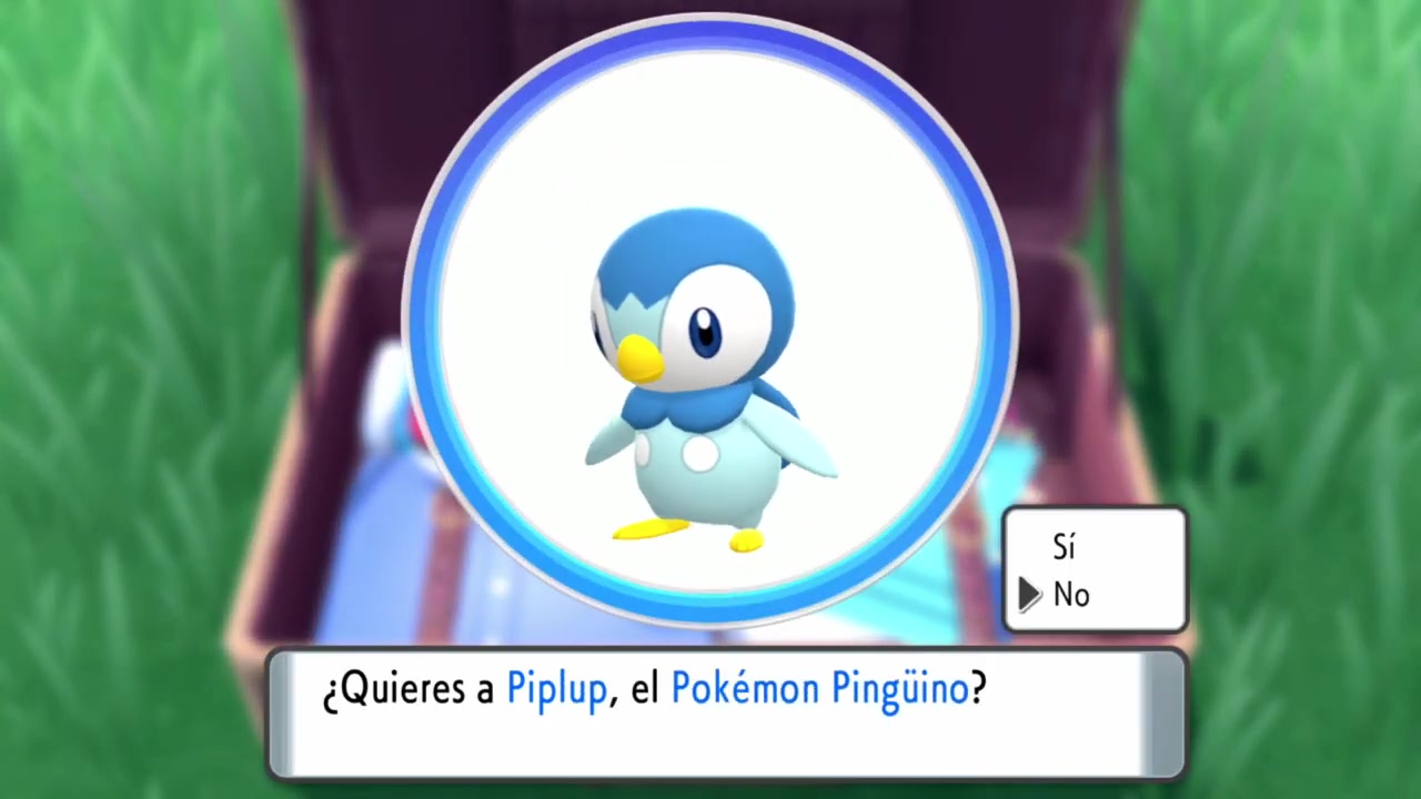 Pueblo Hojaverde (1) Piplup