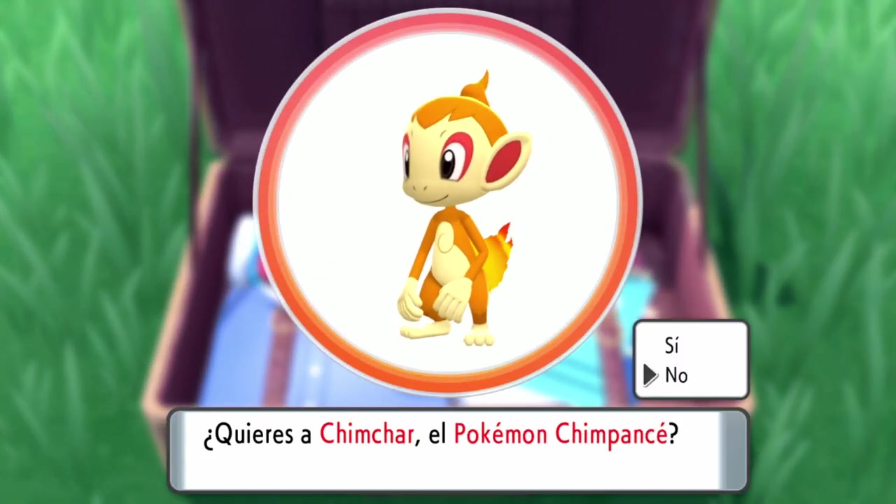 Pueblo Hojaverde (1) Chimchar