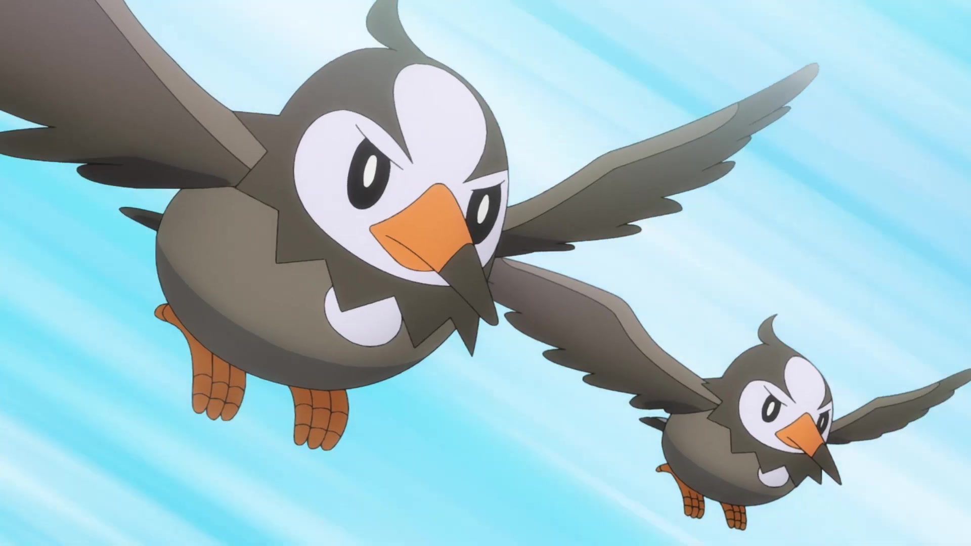 Evoluciones Pokémon EP5: El rival (Sinnoh) Starly