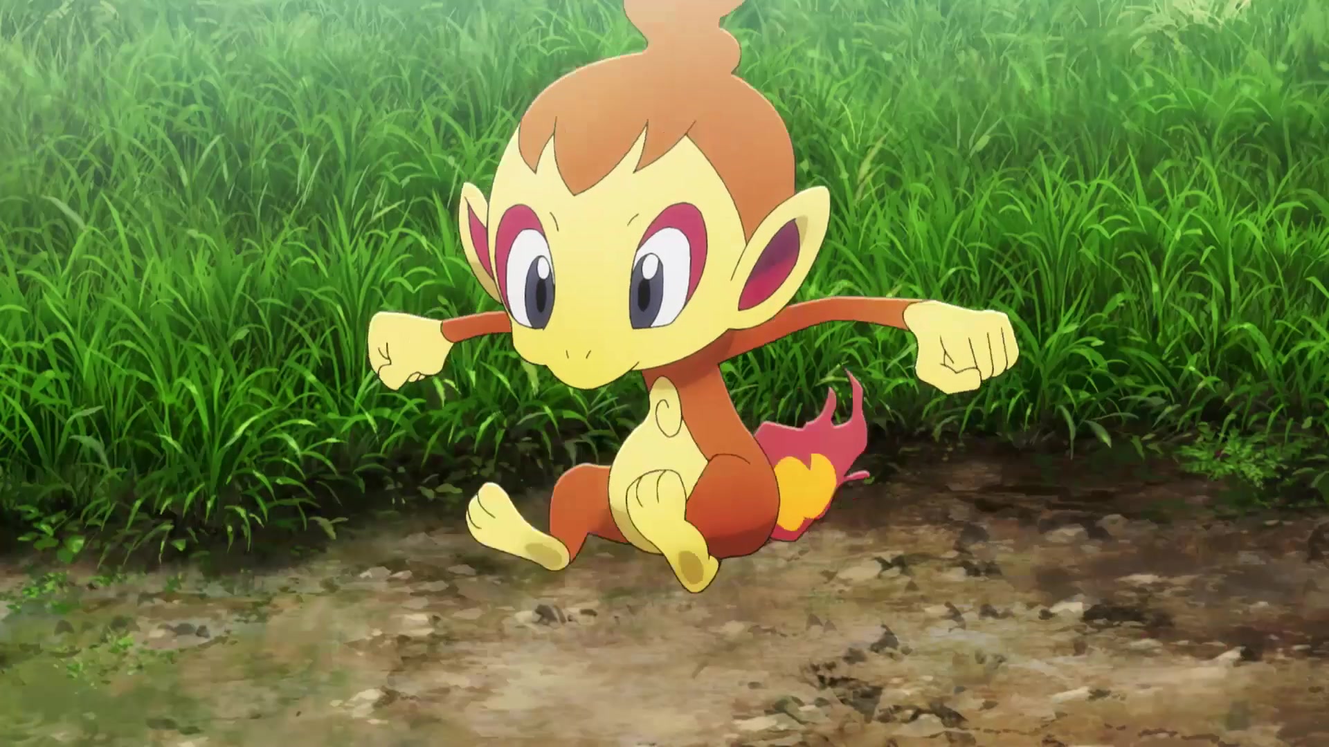 Evoluciones Pokémon EP5: El rival (Sinnoh) Chimchar