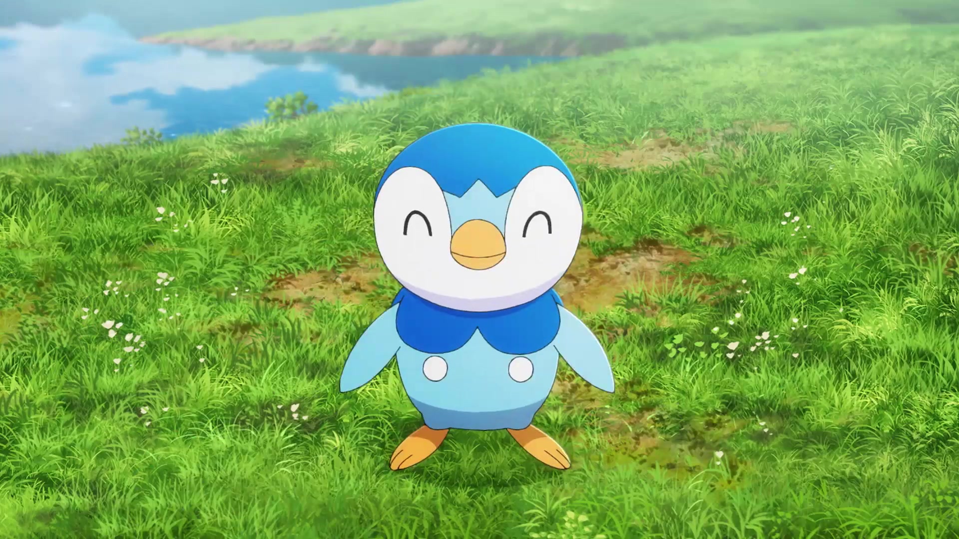 Evoluciones Pokémon EP5: El rival (Sinnoh) Piplup