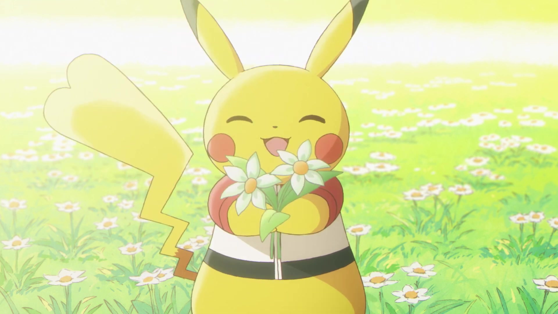Evoluciones Pokémon EP8: El descubrimiento (Kanto) Pikachu de Elaine
