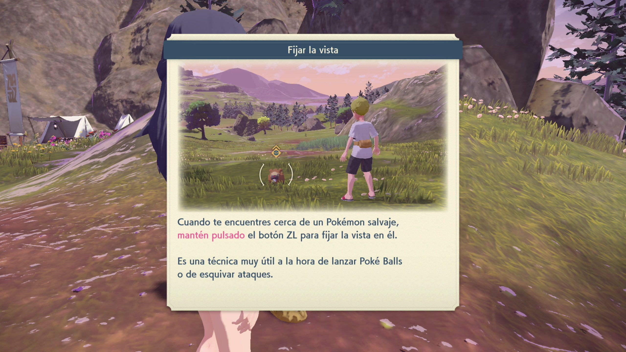 División de investigación fijar la vista en el Pokémon a capturar