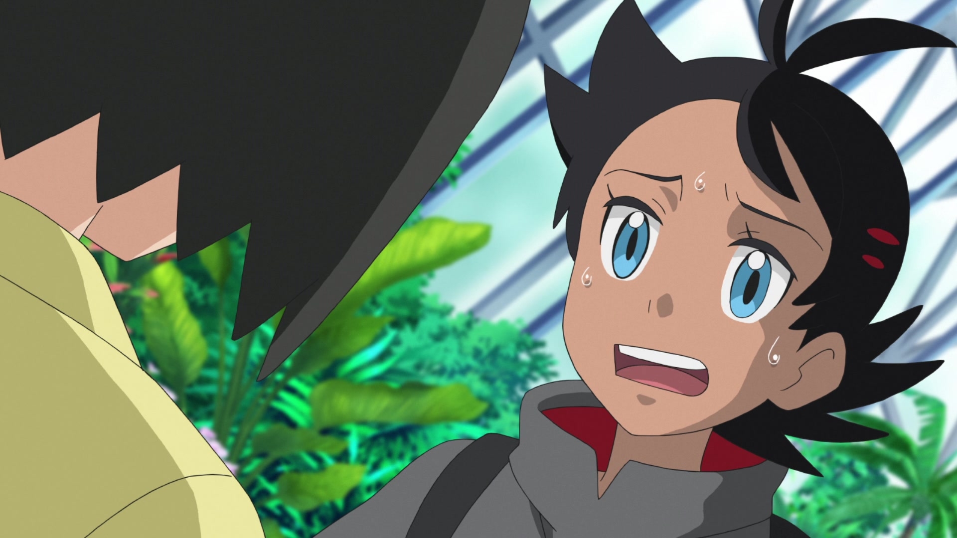 Episodio 94 Viajes Pokémon Erika y Goh