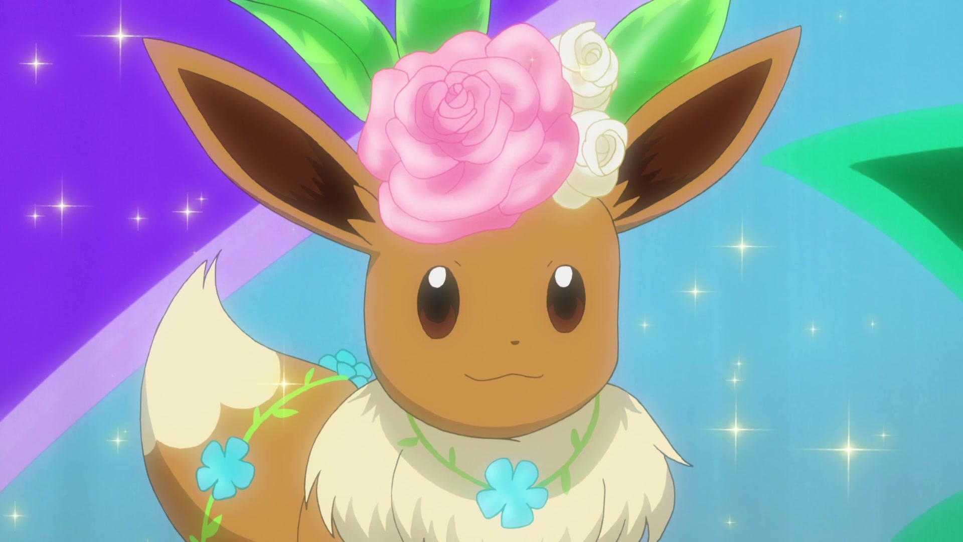 Episodio 94 Viajes Pokémon arreglo floral de la Eevee de Chloe