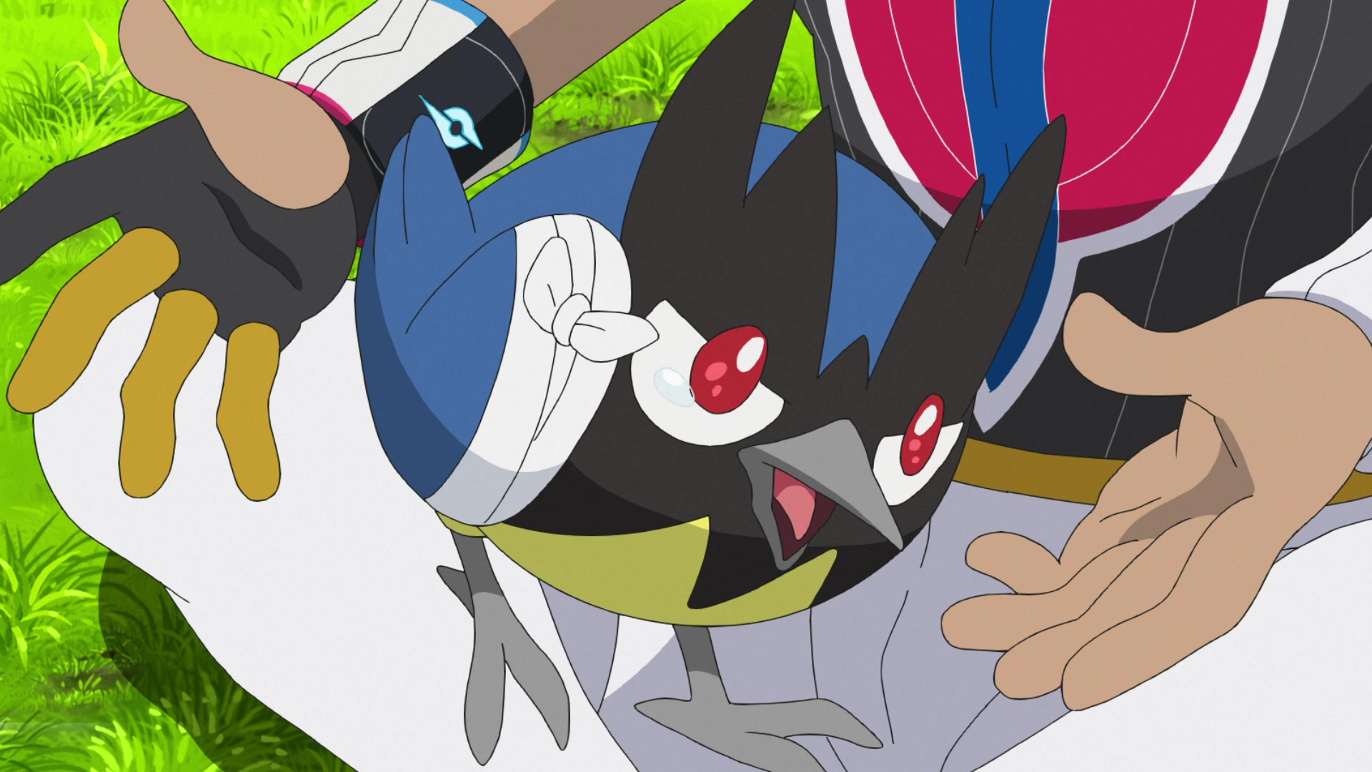 Episodio 100 Viajes Pokémon Lionel cura al Rookidee herido