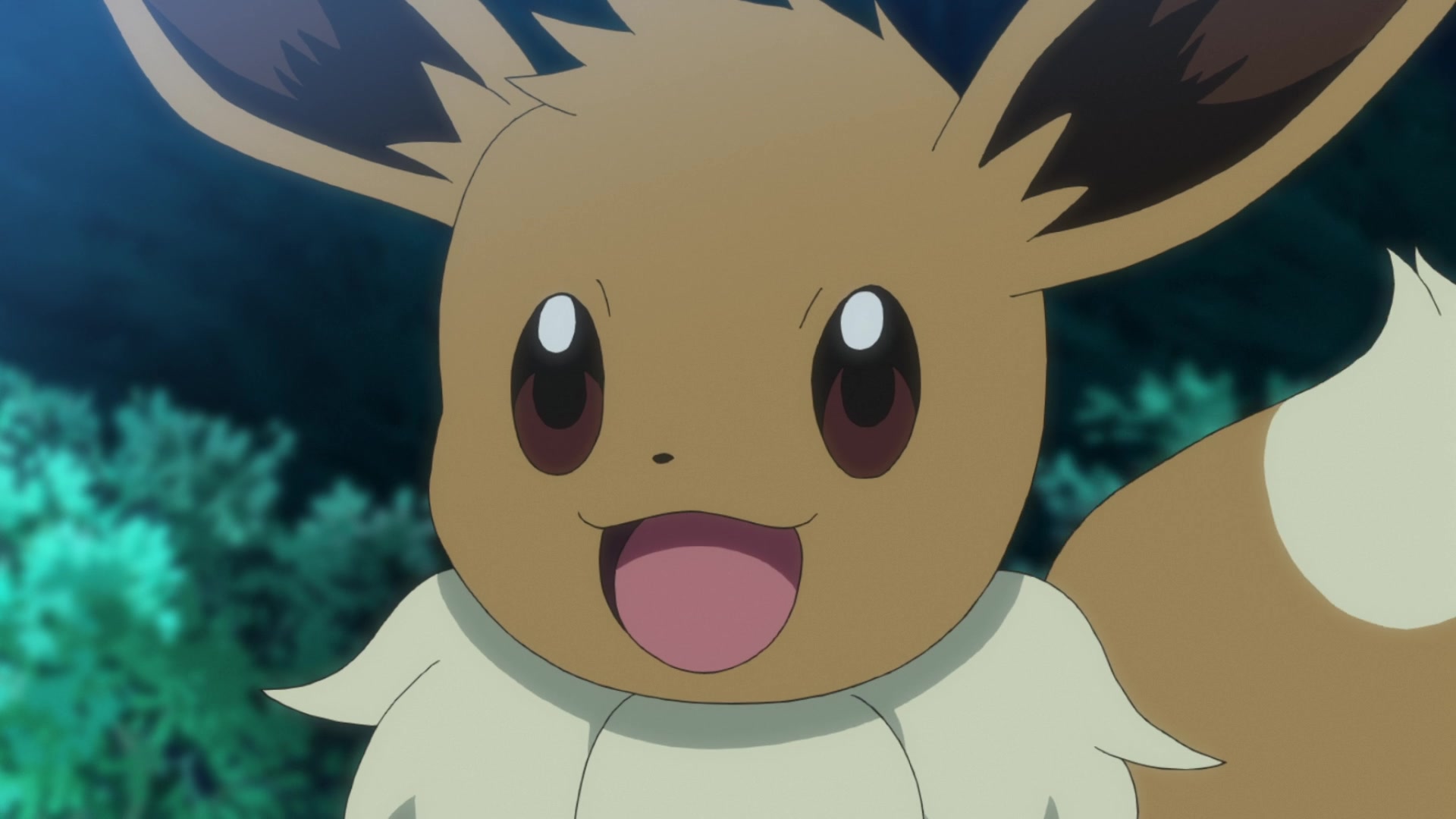 Episodio 120 Viajes Pokémon (resumen) Eevee de Chloe