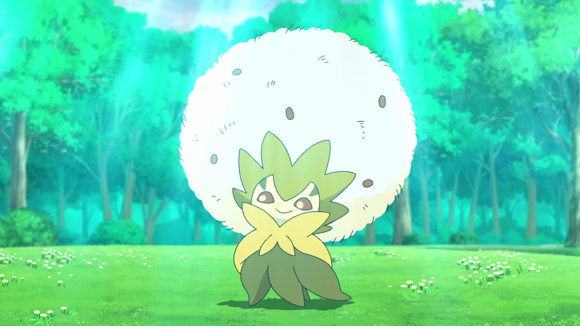 Episodio 122 Viajes Pokémon Eldegoss