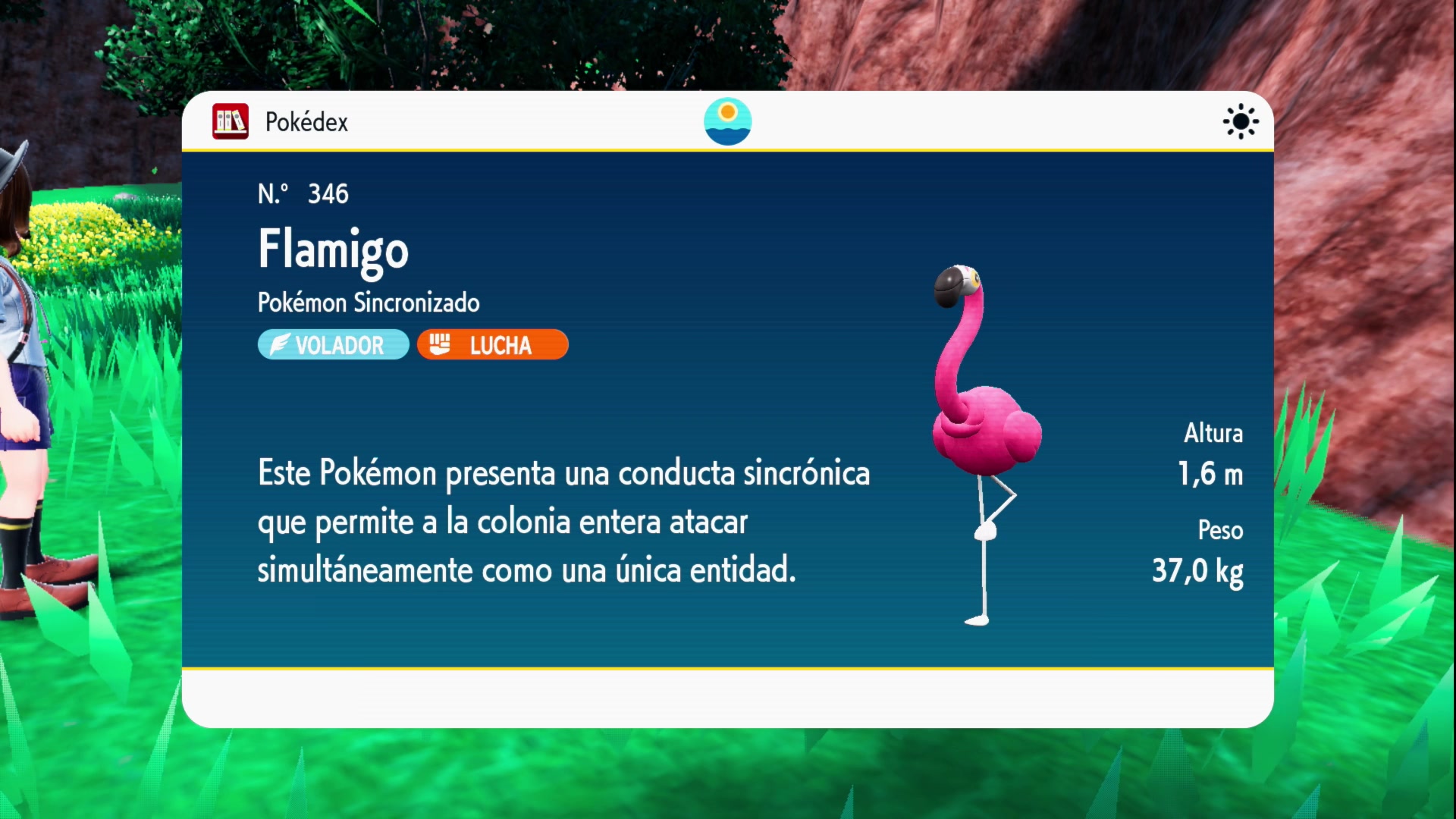 Escarlata y Púrpura (4) Flamigo